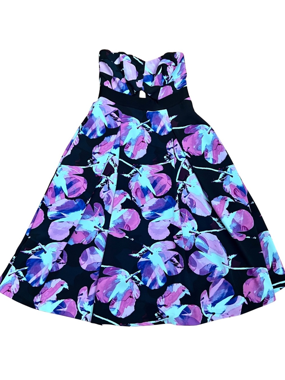 Rachel Roy Floral Fit & Flare Dress Size 0 Black Pink Purple Blue